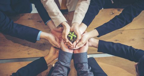 Green Business Meeting. United Partners Team with hands together